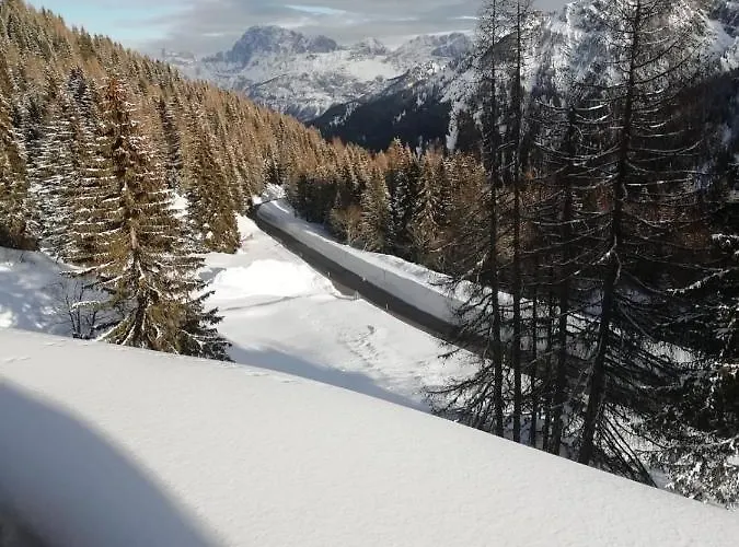 Il Cirmolo Delle Saline
